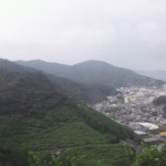 朴農道から