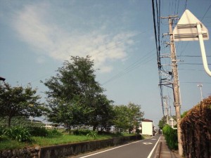 南地区の空を中心に（3）