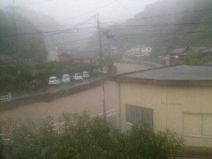 taifu
