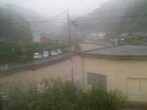 taifu