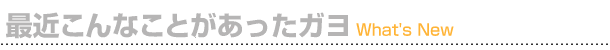 最近こんなことがあったガヨ